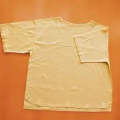 フェリシモ汗染みしにくいTシャツfrauglattのサムネイル