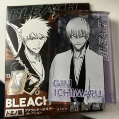 BLEACH ドミノ風アクリルキーホルダー コレクション 市丸ギン