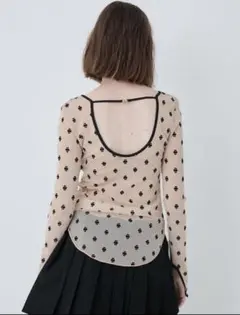 極美品【SORIN】 SWAN LAKE Half Sleeve TOP - メルカリ