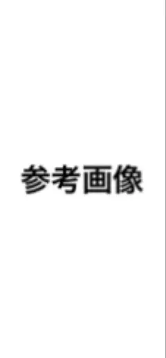 参考画像