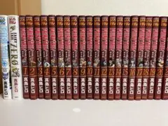 2026年最新】フェアリーテイル 全巻セットの人気アイテム - メルカリ