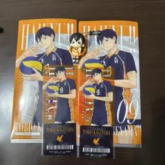 ハイキュー 影山飛雄 一番くじ クリアカード チケットケース　ガチャキーホルダー