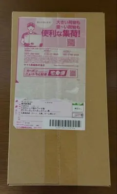 【新品完全未開封】ポケモンセンター ヒロシマスペシャルBOX【即日発送