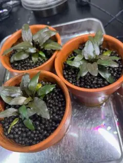 TKE369様 リクエスト 3点 まとめ商品