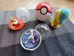 ポケモン　テラリウムコレクション ミュウツー　 ヒノアラシぬいぐるみ　ホゲータ