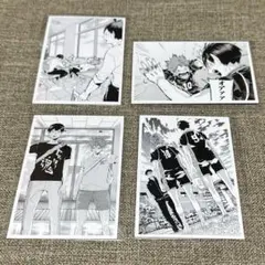 ハイキュー 10th クロニクル 思い出スナップフォトカード 烏野 日向 影山