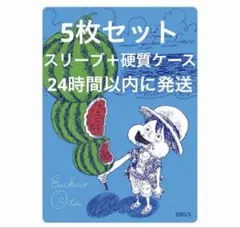 24時間以内発送 ナツコミ 2026 メタキラカード ワンピース 5枚セット 