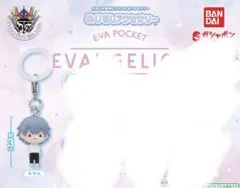 【値下げ中】EVA POCKET めじるしアクセサリー　カヲル