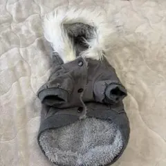 Item thumbnail for item 02e57434-aeb1-4efb-bb15-1f8ab2556a72