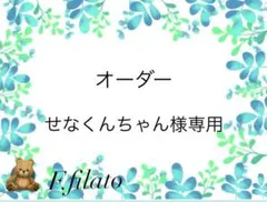 オーダー せなくんちゃん様専用