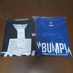 SEAHORSES MIKAWA レプリカユ二フォーム#19 オリジナルTシャツ