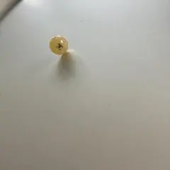 CHANEL シャネル ココマーク オーロラ ラウンド ピアス ひとつのみ！