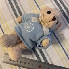 テディベア ぬいぐるみ 水色パーカー