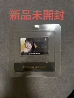【期間限定出品】ダーツライブカード　ダートベア　セット　 限定　ダーツ祭り 期間限定出品】ダーツライブカード ダートベア セット 限定