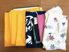 Item thumbnail for item a4b0ef4b-35b0-4e47-ba6a-696e253904f7