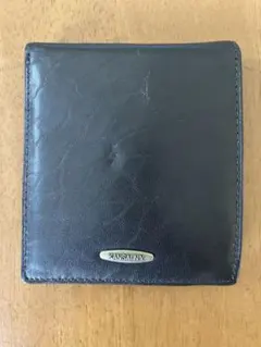 Item thumbnail for item 82f8b172-4687-409b-8063-264a19fb669b