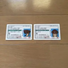 【ピコ様専用】ななめこ、なめこ　カード