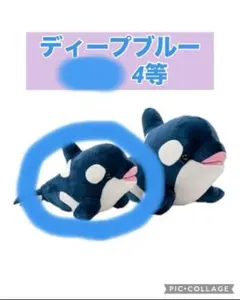 神戸須磨シーワールド　オルカくじ限定カラー　ディープブルー4等　シャチぬいぐるみ