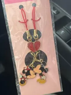 東京ディズニーランド