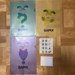 SAPIX クリアファイル3枚と付箋のサムネイル