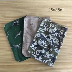 ランチョンマット　恐竜　3枚　セット　25×35