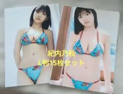 2026年最新】紀内乃秋 チェキの人気アイテム - メルカリ
