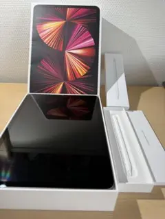 Apple iPad Pro 第3世代11インチ　Apple pencilセット