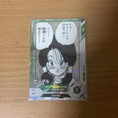 アドバンスパック ビーデル R APT-024