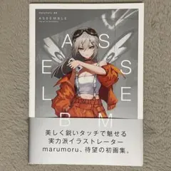 alunifomel.9 川野達朗 アルニホメル 原画集 イラスト集 画集 - メルカリ