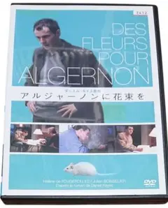 アルジャーノンに花束を