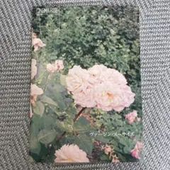 Item thumbnail for item 3110b07a-e1e6-4105-8eda-d2b0fe6476e2