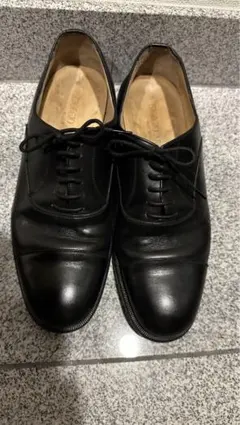 Item thumbnail for item 7e621df6-5c29-49a0-898d-02cb33f4bcf6