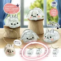 うさぎのタイムカプセル　マロン　コムギ　ガチャ　ロップイヤー　ネザーランド
