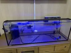 60cmガラス水槽用 上部フィルター 奥行き200 - メルカリ