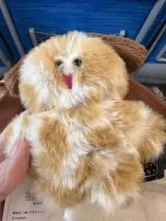 希少‼️ 東京動物園協会 ぬいぐるみ フクロウ ミミズク - メルカリ