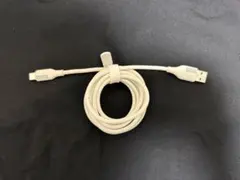 3COINS ロングケーブルAtoC：2m