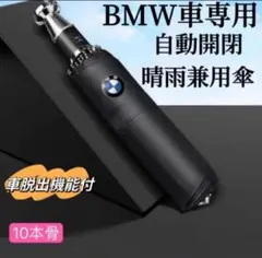 Item thumbnail for item 6dc1db29-d0f6-4651-bf63-a10ef6c3375b