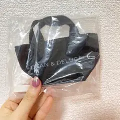 ディーンアンドデルーカのミニバックです