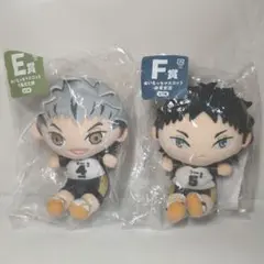 2026年最新】ハイキュー 木兎 ぬいぐるみの人気アイテム - メルカリ