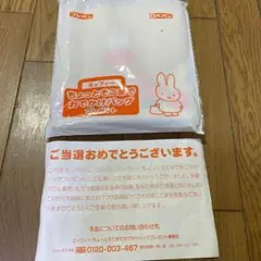 ミッフィー ちょっとそこまでおでかけバッグ　懸賞当選品　非売品のサムネイル