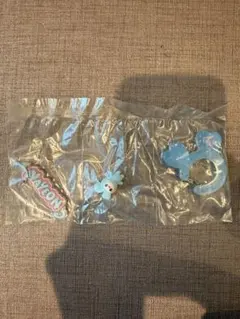 TWICE LOVELYS アクリルカラビナフロッキーマスコット　ナヨン