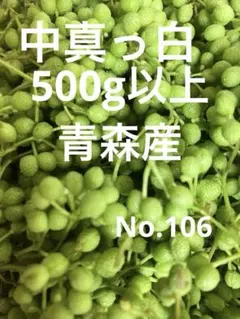 青森県産天然山椒の実 500グラム - メルカリ