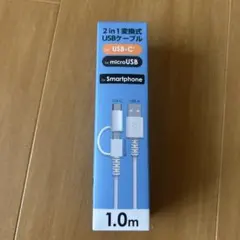 2 in 1 USBケーブル 1.0m 3月末まで