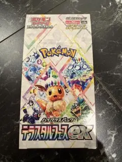 2025年最新】テラスタルフェスex boxの人気アイテム - メルカリ