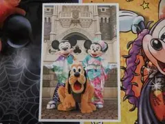 新品♪ミッキー ミニー 東京ディズニーランド 実写 ポストカード 35周年