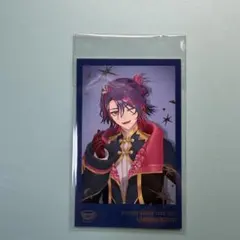 WORLDTOUR2025 SitR 名古屋公演　渡会雲雀 チェキ風カードセット