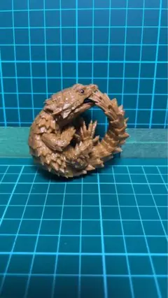 アルマジロトカゲ