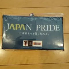 【値下げ】サッカー日本代表 アパホテル　オリジナルシートクッション