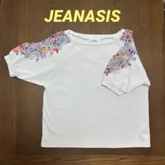 JEANASIS ジーナシス　花柄刺繍レース袖カットソー　カットワークのサムネイル