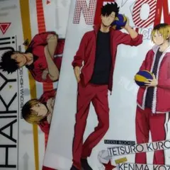 ハイキュー　クリアファイル　音駒　2枚